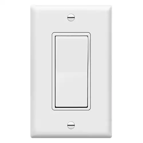 Single Paddle Light Switch with Wall Plate