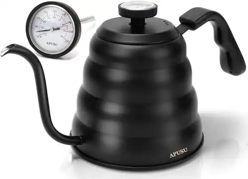 Tea Kettle with Thermometer