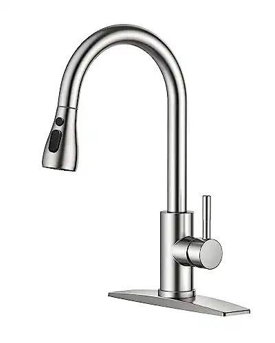 FORIOUS | Kitchen Faucet with Pull Down Sprayer