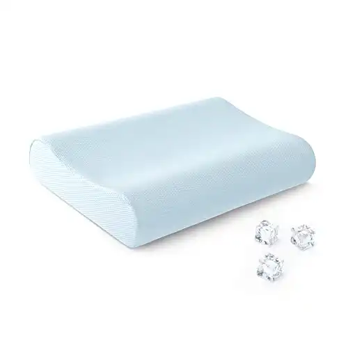 Aeromax | Contour Foam Pillow