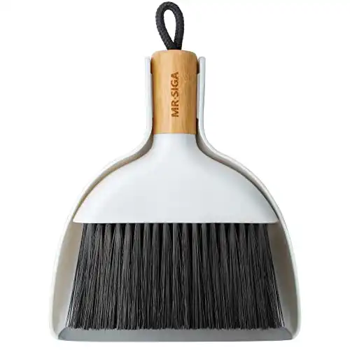 Mini Dustpan and Brush Set