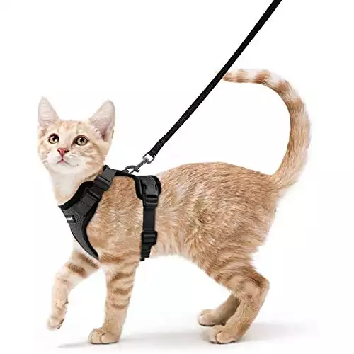 Cat Harness and Leash for Walking (Escape-Proof)