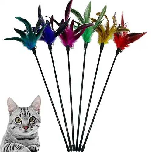 Cat Wand Toy