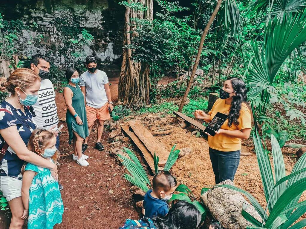 Tour guide talking to guests about the bee park