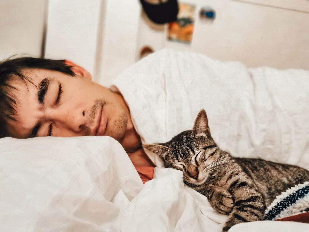 Sleeping With A Cat In A Camper Van
