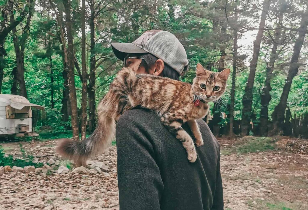 Cat sitting on shoulder on Eric, while walking outdoors