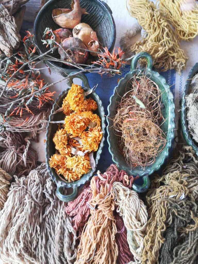 Local plants and flowers used to dye the sheep's wool