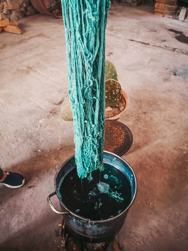 Dying the sheep's wool with Indigo pigments
