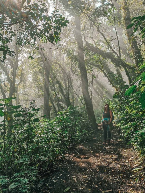 Hiking-in-the-jungle-to-Acatenango
