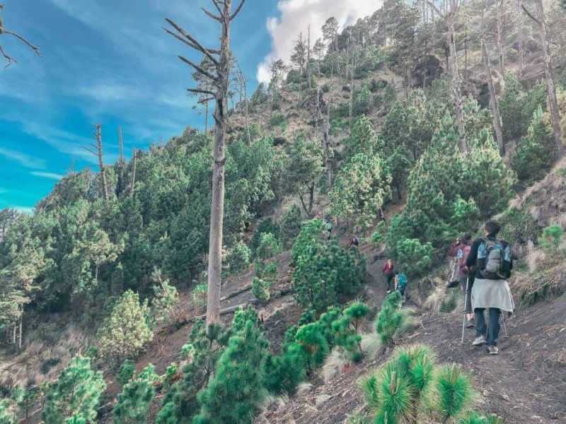 Hiking up to Acatenango basecamp