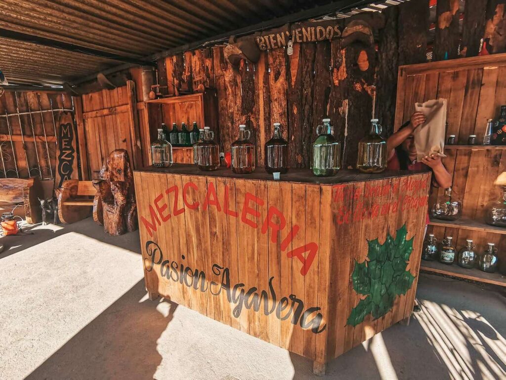Mezcal-Tour-Oaxaca-Mexico