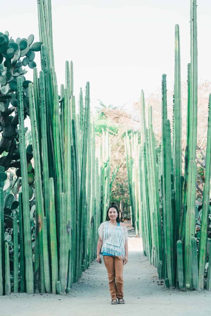 Ethnobotanical-Garden-Oaxaca-Mexico