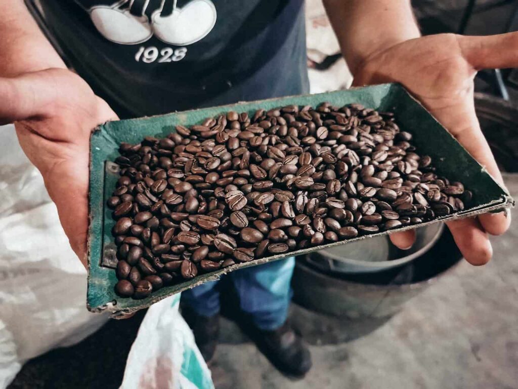 Oaxaca-Coffee-Farm Beans