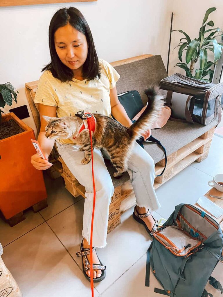 Woman with a cat standing on her lap