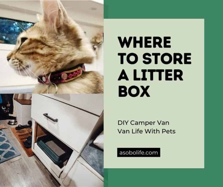 RV Cat Litter Box – Storage Ideas & Tips