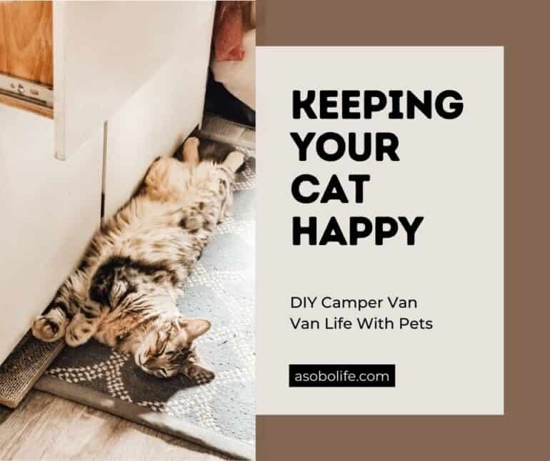 Cat sleeping on the sunny floor of a camper van