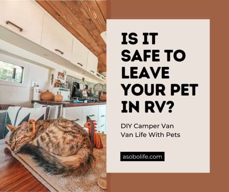 A cat sleeping on the table inside a camper van