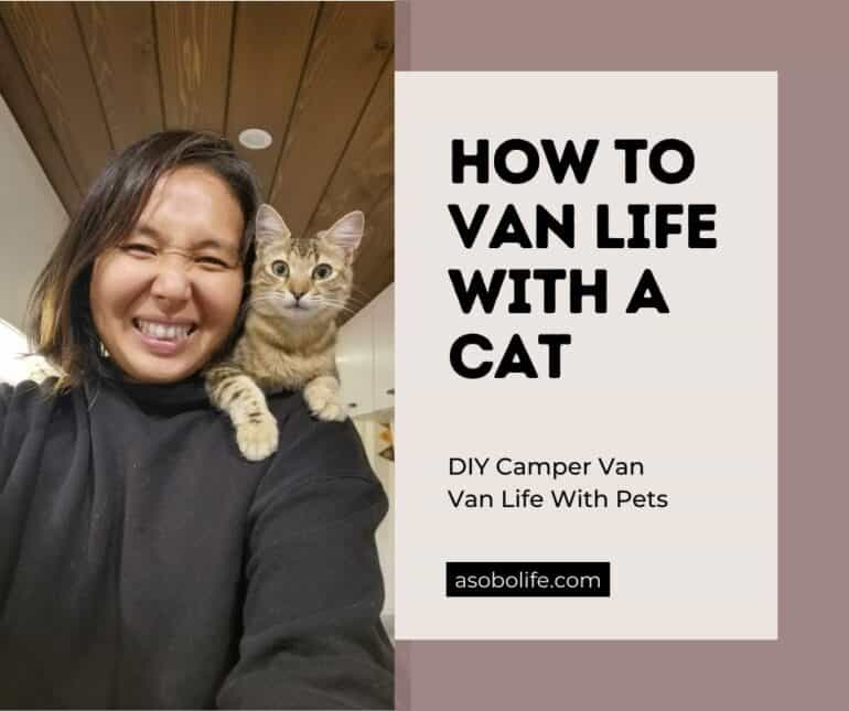Cat sitting on the shoulders of a woman inside a camper van