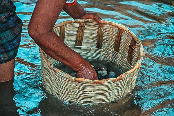 Washing sheeps wool for future Mexican rugs