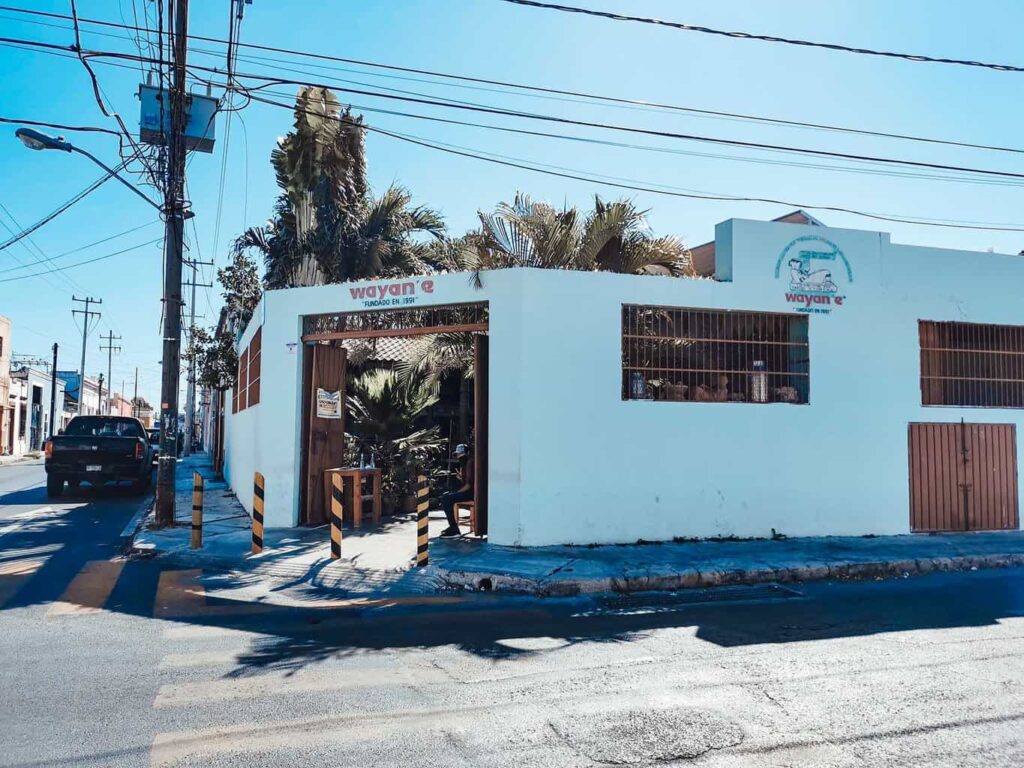 Wayane yucatanian taco rest in merida