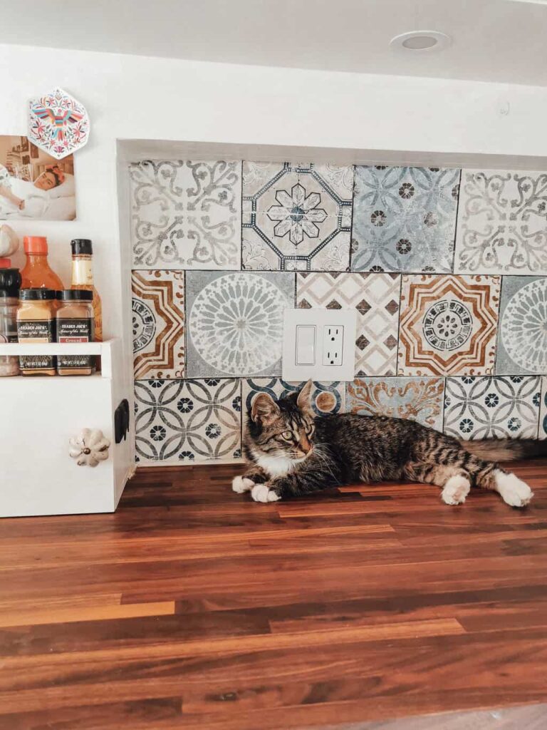Kitten laying on a butcher block countertop